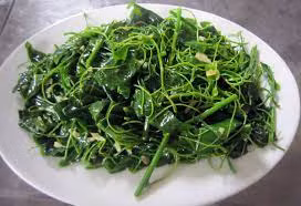 Bat ngo loai rau moc dai o Viet Nam nay xuat khau di My-Hinh-5