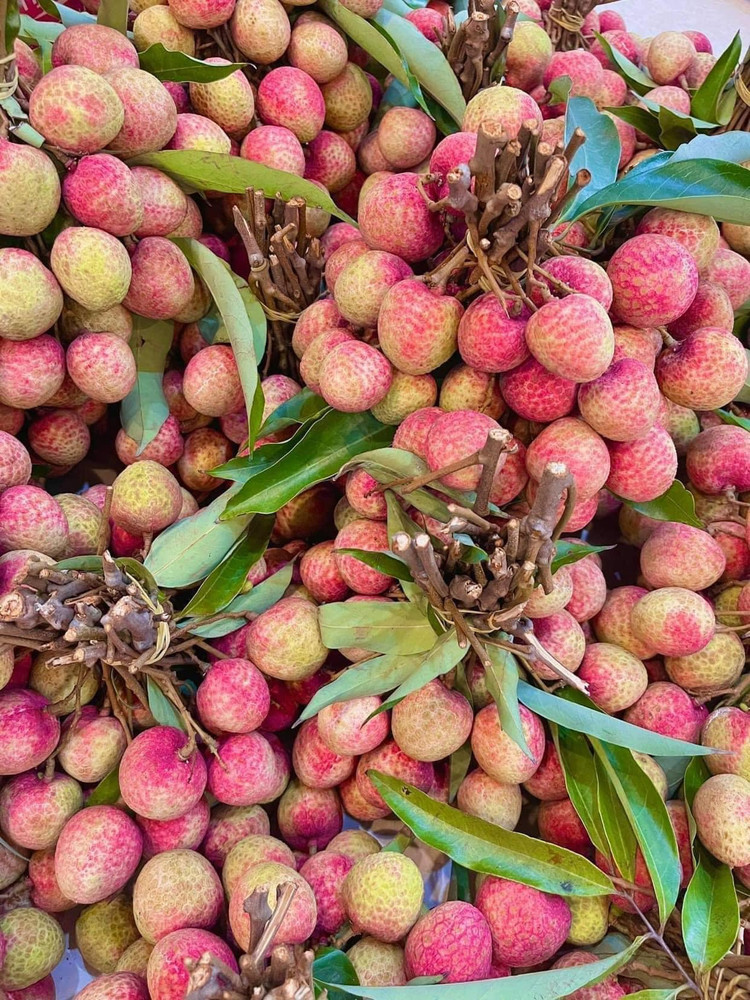 Vai chin som hon 100.000 dong/kg khach van tap nap mua-Hinh-3