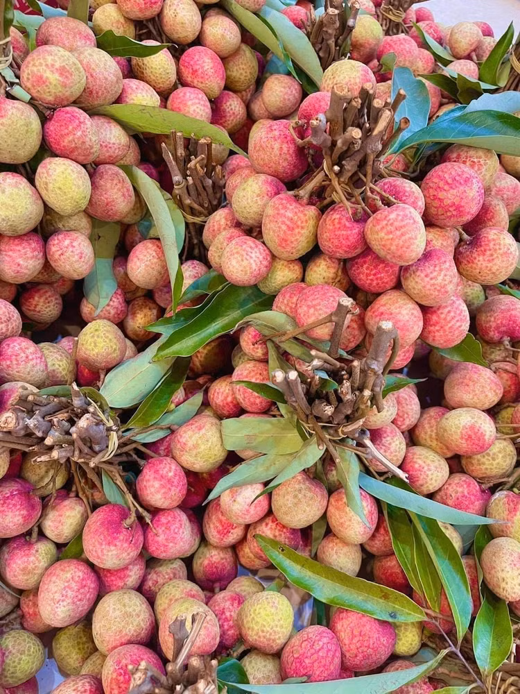 Vai chin som hon 100.000 dong/kg khach van tap nap mua-Hinh-3