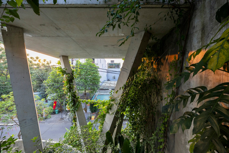 Thiet ke nhu to chim, nha Da Nang khien bao My me man-Hinh-6