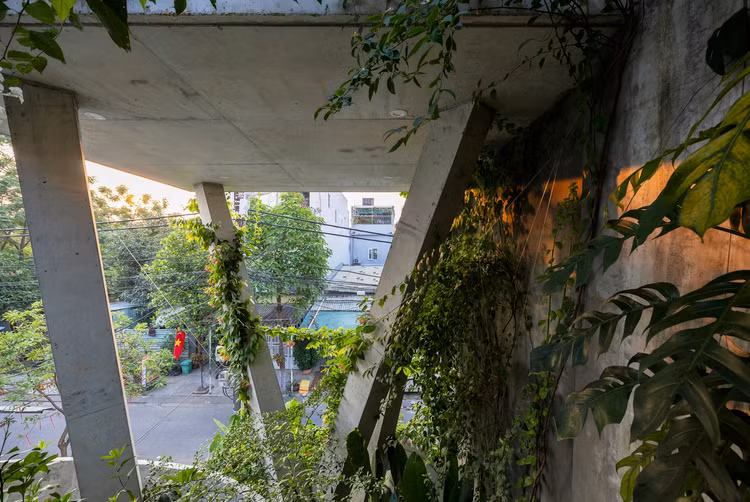 Thiet ke nhu to chim, nha Da Nang khien bao My me man-Hinh-6