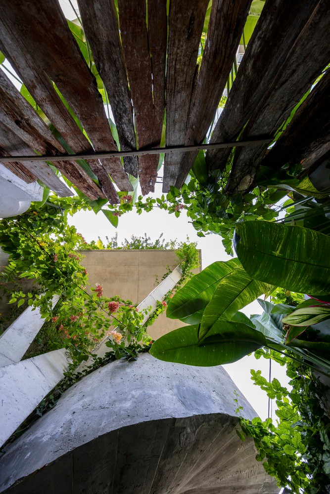 Thiet ke nhu to chim, nha Da Nang khien bao My me man-Hinh-13