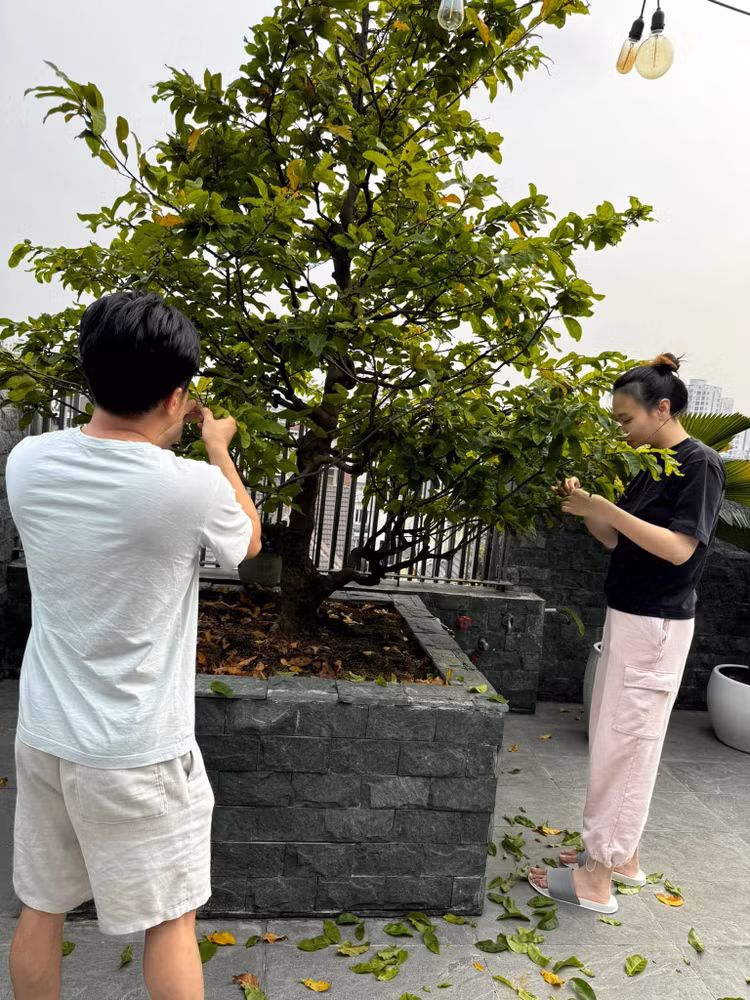 Can canh biet thu hoanh trang cua Cuong Do La - Dam Thu Trang-Hinh-8