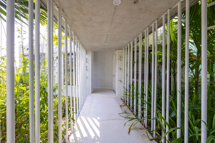 Ngoi nha sinh doi dep me man giua rung cay o Da Nang-Hinh-8