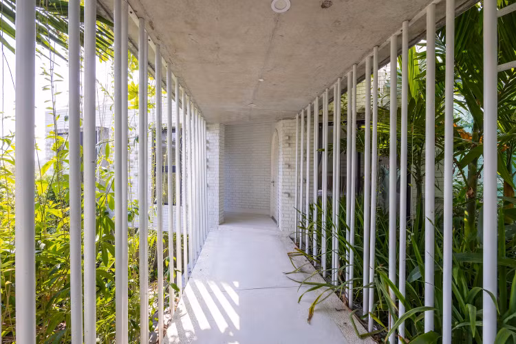 Ngoi nha sinh doi dep me man giua rung cay o Da Nang-Hinh-8