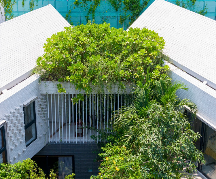 Ngoi nha sinh doi dep me man giua rung cay o Da Nang-Hinh-3