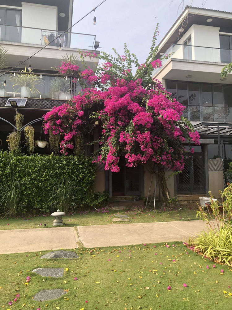 Can canh biet thu cao cap ven song cua Cao Thai Son-Hinh-8