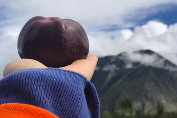 Tao den xi bo beo gi... gan nua trieu dong/qua?-Hinh-8