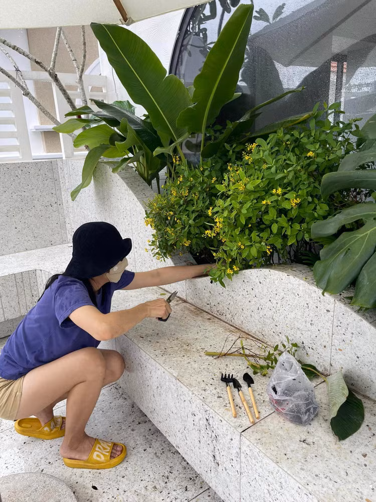 Dot nhap co ngoi rong 1.000 m2 giua pho cua Van Trang-Hinh-5