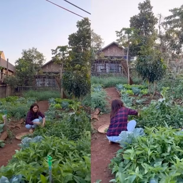 Moi mat ngam vuon rau xanh muot tai que nha cua H'Hen Nie-Hinh-2