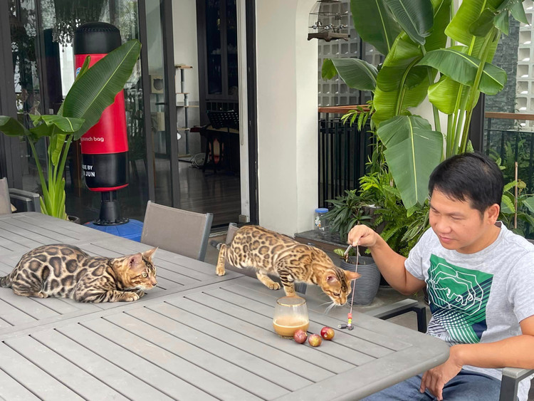 Khong gian “que” giua pho trong nha ca si Trong Tan-Hinh-10