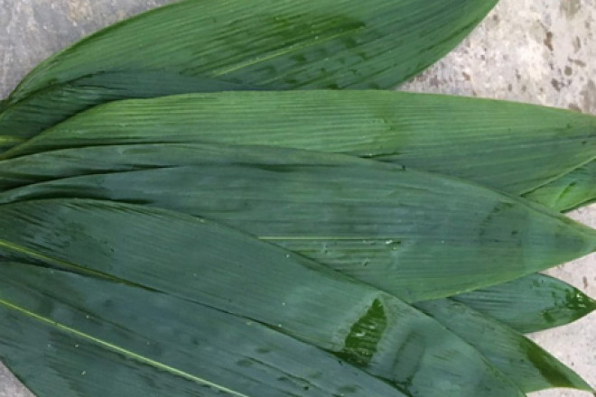 3 loai la rung day vuon o Viet Nam, ra nuoc ngoai “dat nhu vang“-Hinh-2