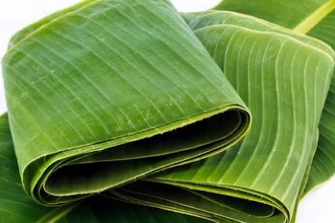 3 loai la rung day vuon o Viet Nam, ra nuoc ngoai “dat nhu vang“-Hinh-7