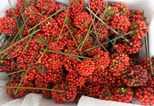 To mo loai hat dat nhat Viet Nam, gia toi 240 trieu dong/kg-Hinh-8