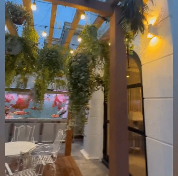 San vuon xanh muot trong biet thu gan 600 m2 cua Le Quyen-Hinh-2