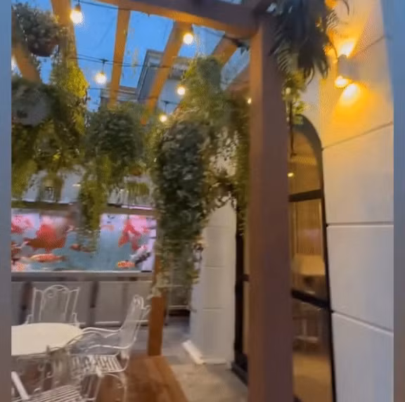 San vuon xanh muot trong biet thu gan 600 m2 cua Le Quyen-Hinh-2