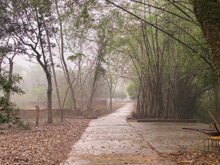 Nha vuon rong 1.000m2 o ngoai thanh Ha Noi cua NSUT Chieu Xuan-Hinh-10