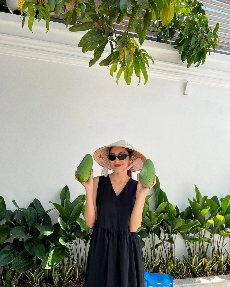 Biet thu san vuon ngap cay trai cua Tang Thanh Ha-Hinh-6