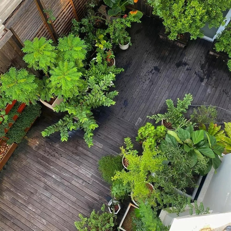 Biet thu san vuon ngap cay trai cua Tang Thanh Ha-Hinh-5