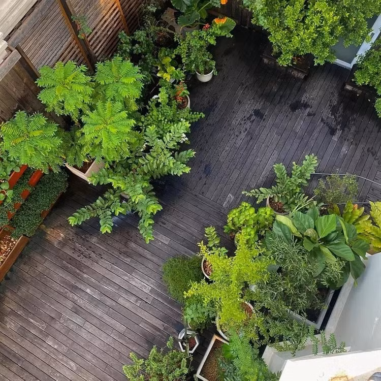 Biet thu san vuon ngap cay trai cua Tang Thanh Ha-Hinh-5