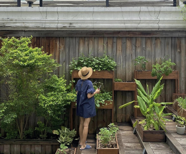 Biet thu san vuon ngap cay trai cua Tang Thanh Ha-Hinh-4