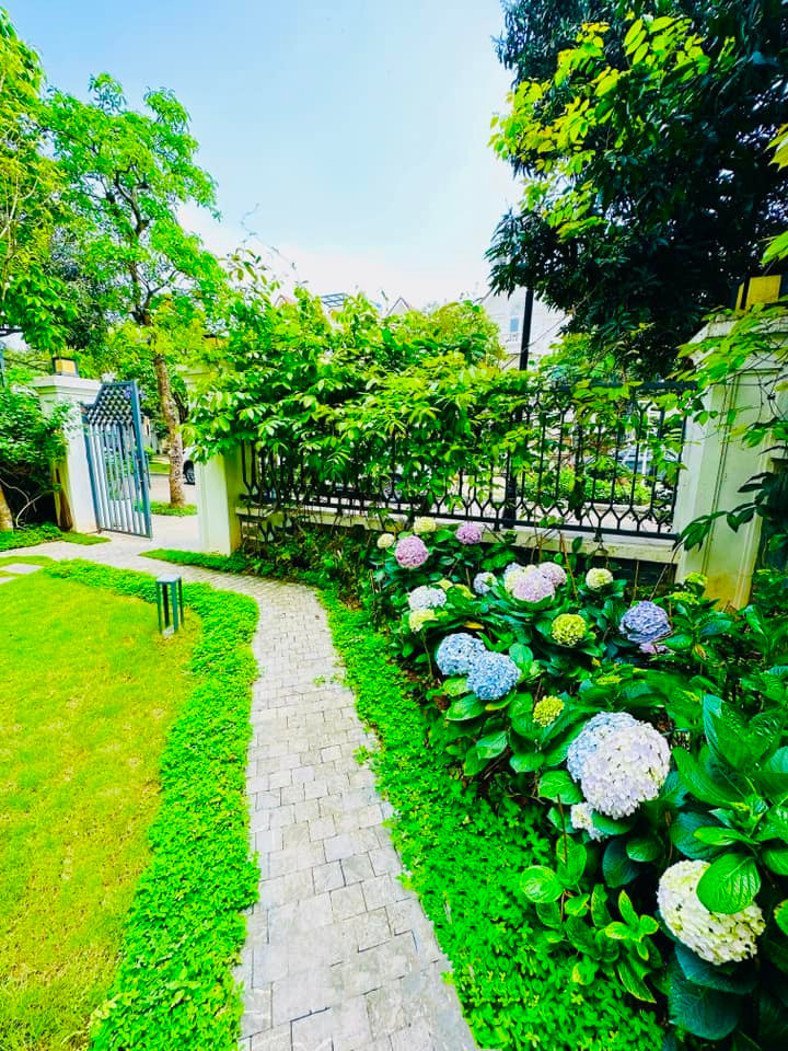 Biet thu ven ho 60 ty cua my nhan giau nhat “vu tru VTV“-Hinh-5