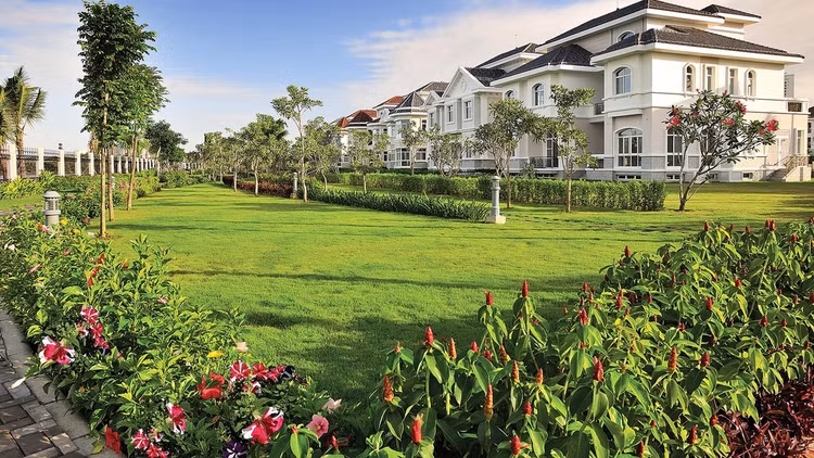 Dinh thu be the Midu va chong thieu gia o sau dam cuoi-Hinh-7