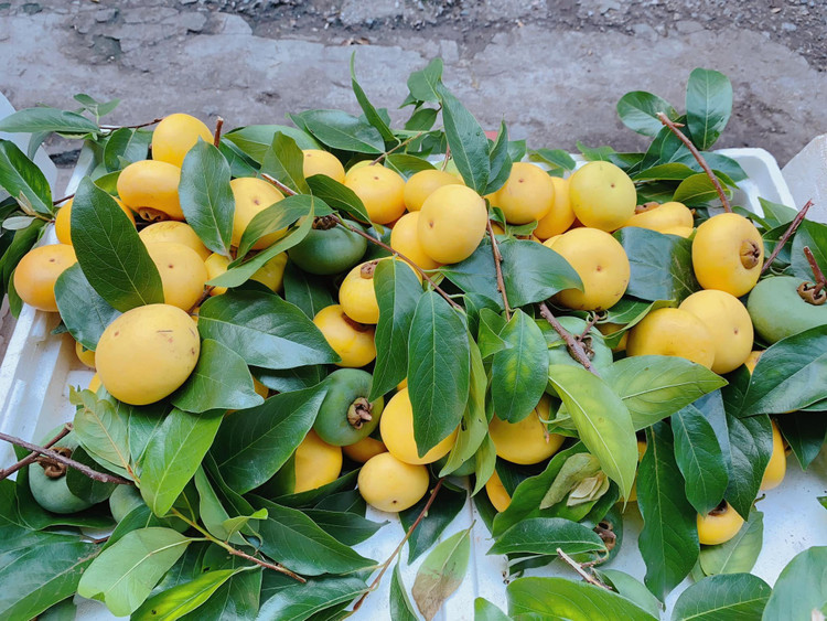 Thi sap tu que len pho 15.000 dong/qua van “chay hang“-Hinh-7