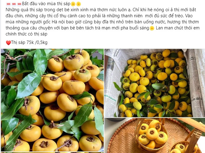 Thi sap tu que len pho 15.000 dong/qua van “chay hang“