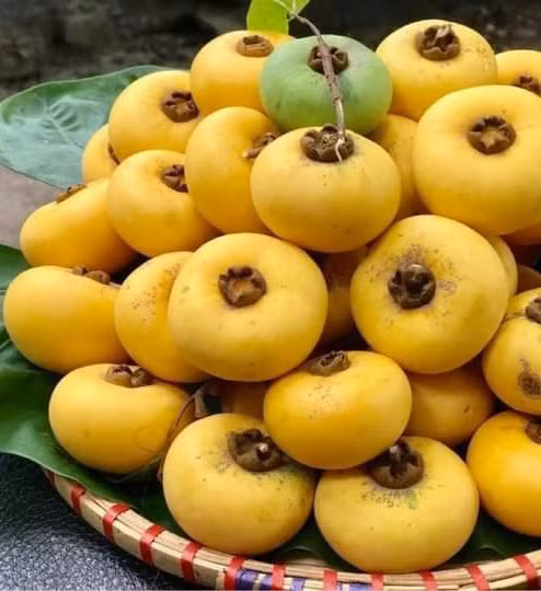 Thi sap tu que len pho 15.000 dong/qua van “chay hang“-Hinh-12