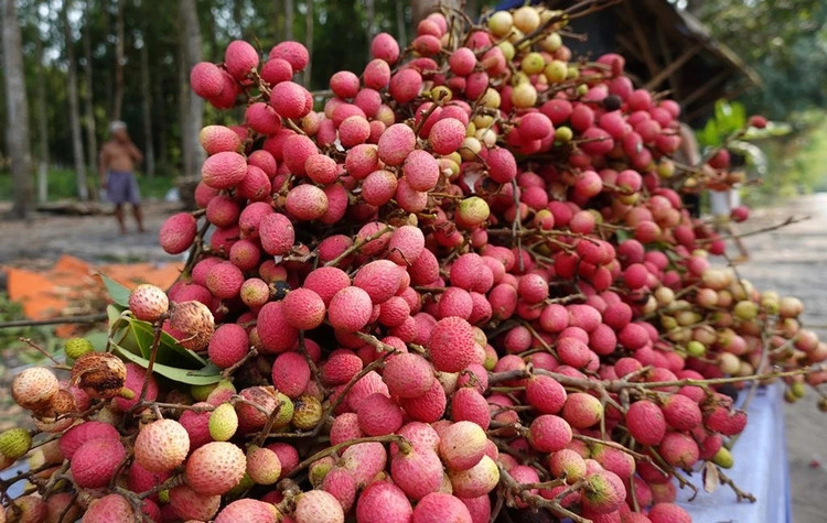 4 qua rung bong thanh dac san “gia chat” duoc dan pho lung mua-Hinh-10