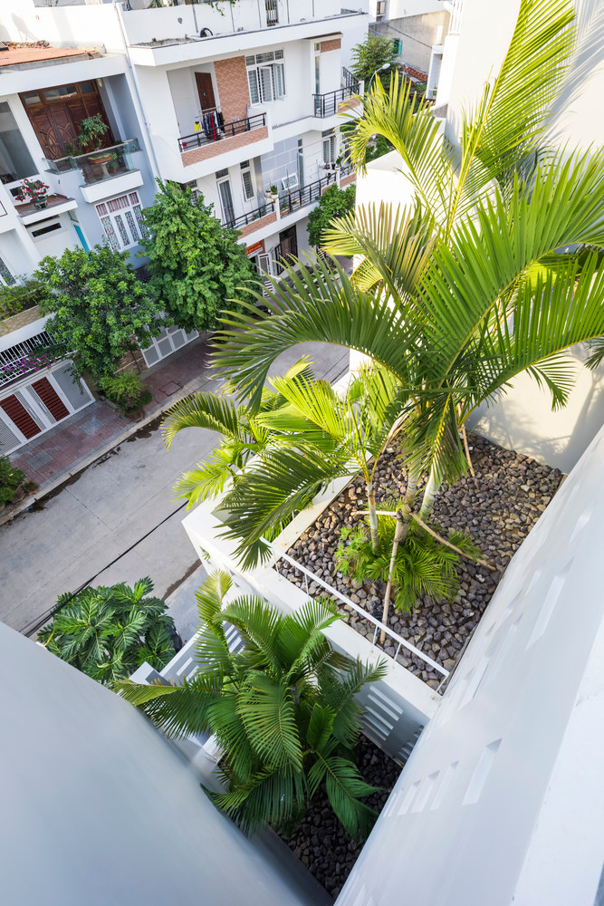 Co gi ben trong nha huong Tay mat ruoi quanh nam o Nha Trang?-Hinh-13