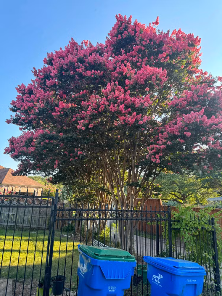 Can canh biet thu “vua thay ao moi” cua Dan Truong tai My-Hinh-3