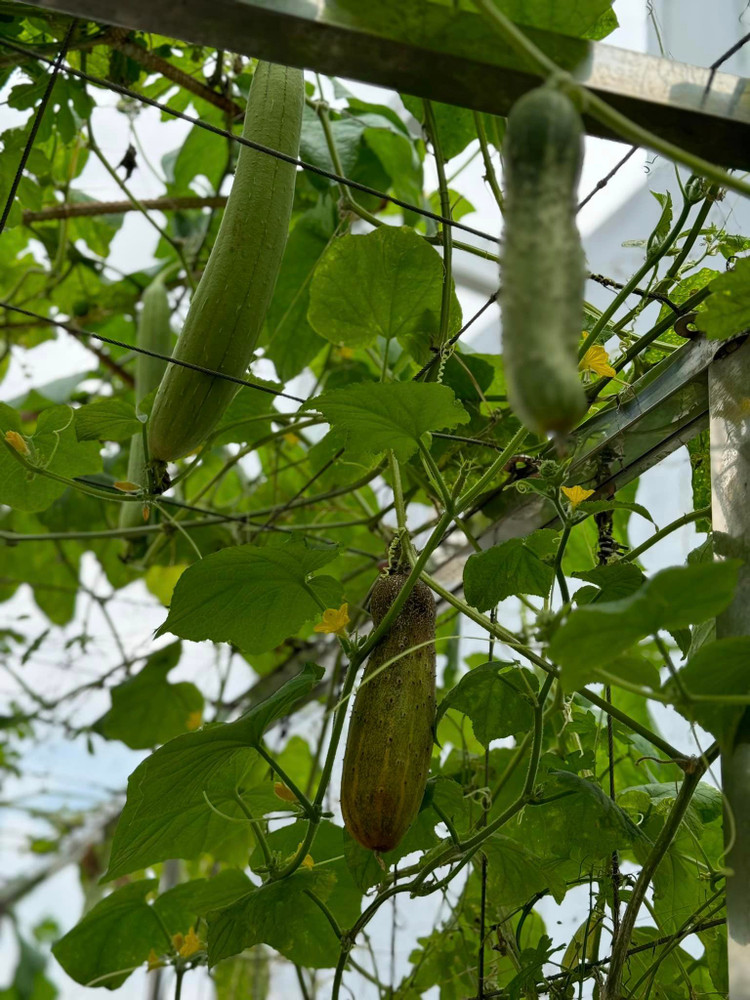 Biet thu nhu cung dien “di mai khong het” cua Hoa hau Giang My-Hinh-11