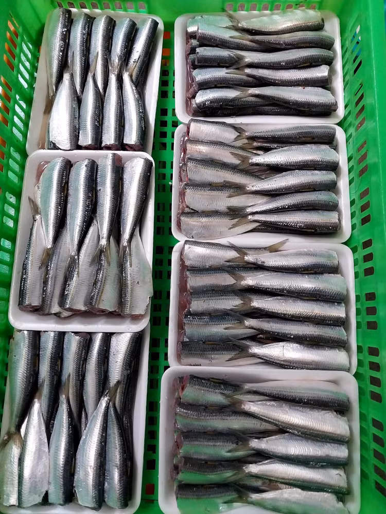 3 loai ca truoc “re nhu cho” nay dan pho tranh nhau mua-Hinh-7