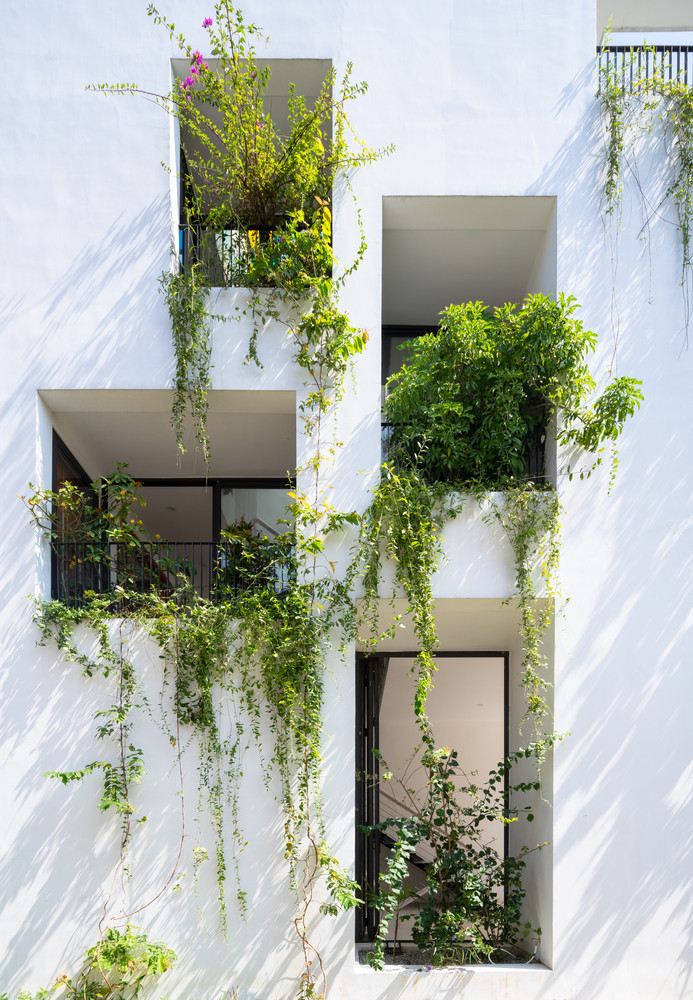 Ngan ngo ngam nha ong mang kien truc nha vuon nen tho tai Hue-Hinh-3