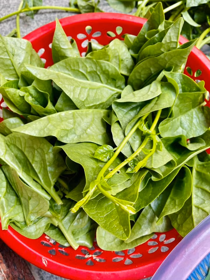 Man nhan vuon rau xanh muot mat cua me ruot Ha Ho-Hinh-7