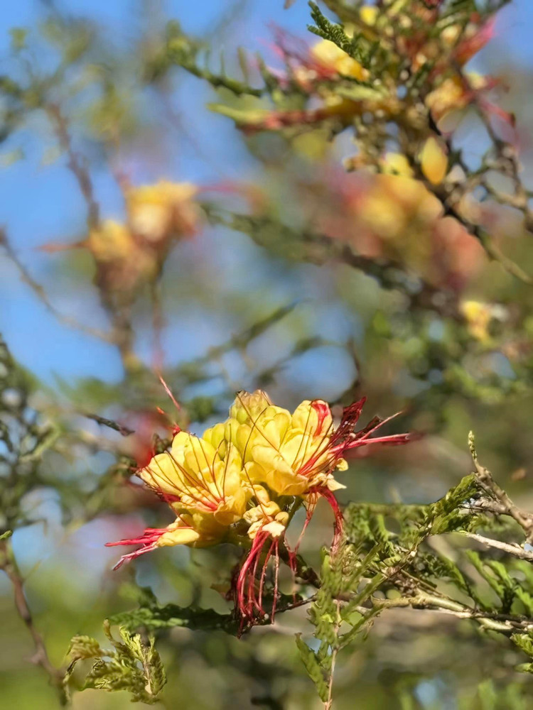 Co ngoi rong rai ngap rau trai cua “em gai Ha Tang” tai My-Hinh-9