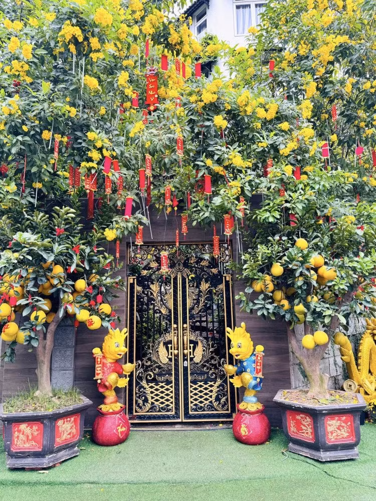 Toan canh biet thu 60 ty xa hoa, long lay cua Dam Vinh Hung-Hinh-10