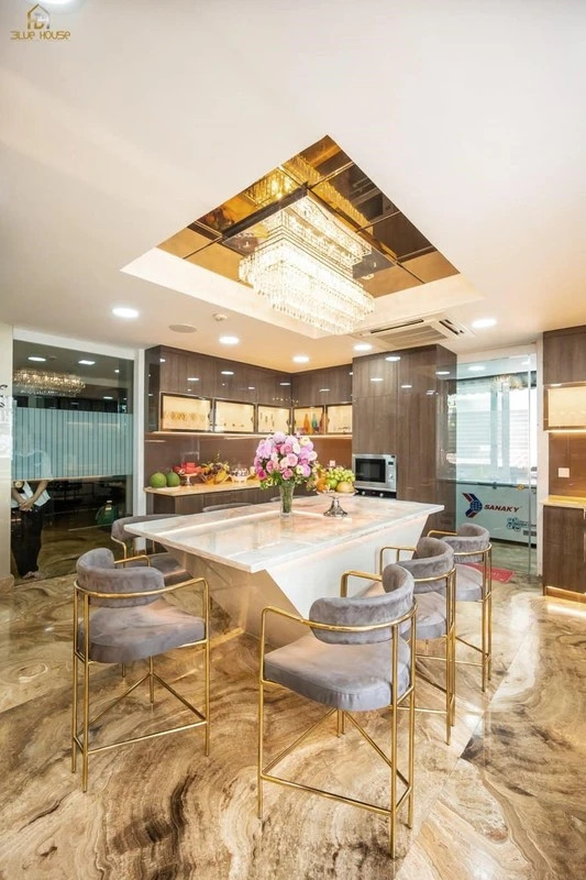 Toan canh biet thu 60 ty xa hoa, long lay cua Dam Vinh Hung-Hinh-5