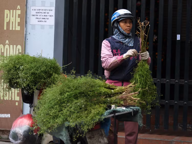 Tam nuoc la mui gia, mot phong tuc dep ngay Tet-Hinh-7