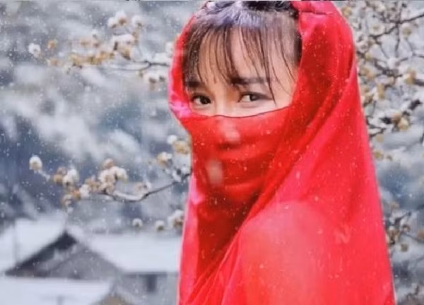 Là người đi đầu xu hướng quay cảnh đồng quê nên Lý Tử Thất trở thành một cái tên có sức ảnh hưởng vô cùng lớn trên mạng xã hội. Cô thậm chí còn ra thương hiệu sản phẩm mang tên của chính mình.