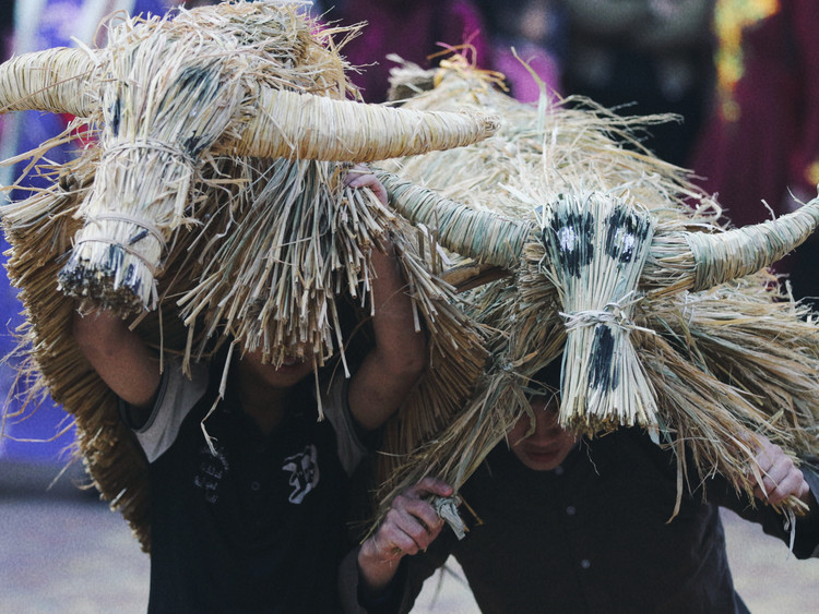 Doc dao le hoi “Trau rom bo ra” ton vinh van hoa lua nuoc-Hinh-12