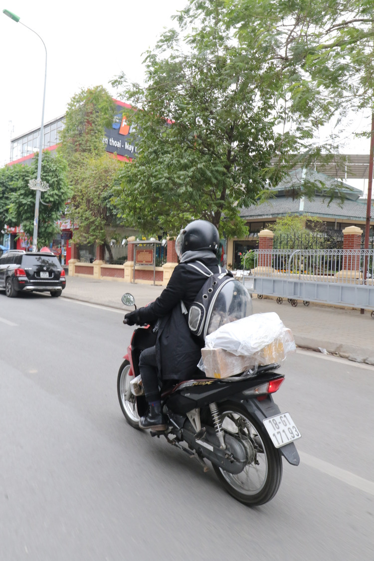 Nguoi dan do dac linh kinh roi thanh pho ve que an Tet-Hinh-2