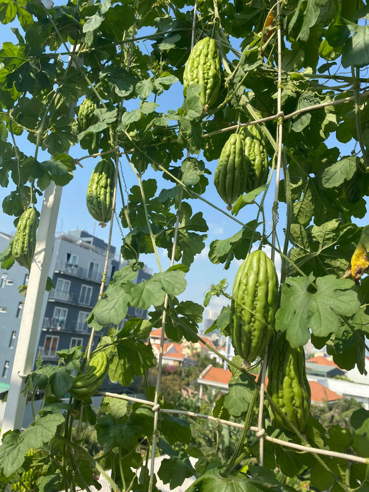 Biet thu “di moi chan” cua Hoa hau “doc nhat vo nhi” Viet Nam-Hinh-14