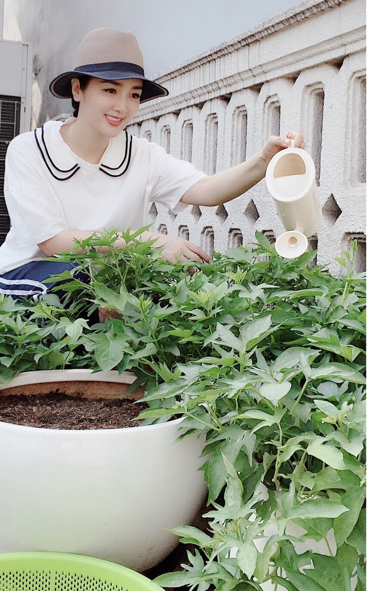 Biet thu “di moi chan” cua Hoa hau “doc nhat vo nhi” Viet Nam-Hinh-11