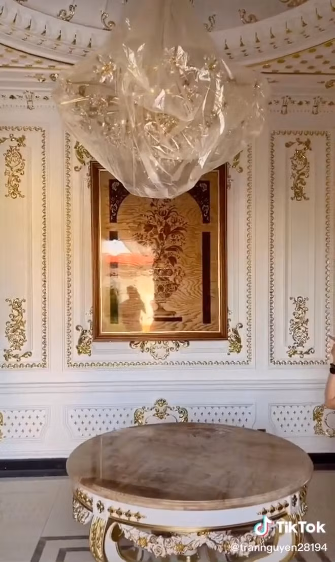 Ben trong lau dai dat vang cua dai gia Long An gay sot mang-Hinh-7