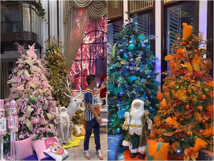 Biet thu 60 ty cua Dam Vinh Hung khien dan tinh do xo check-in-Hinh-8