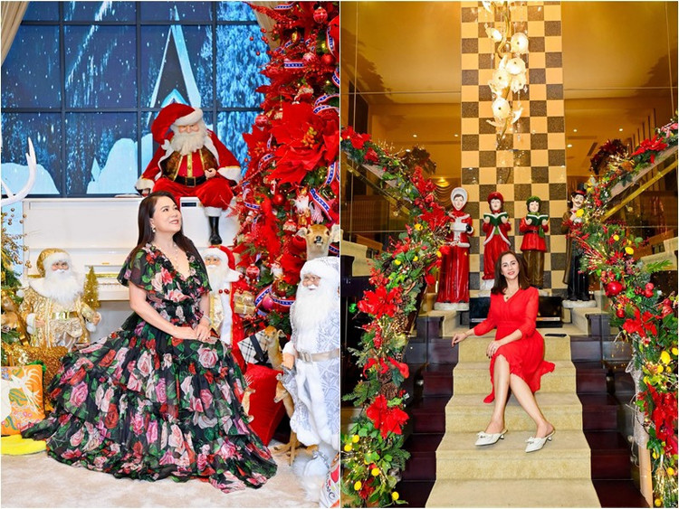 Biet thu 60 ty cua Dam Vinh Hung khien dan tinh do xo check-in-Hinh-4