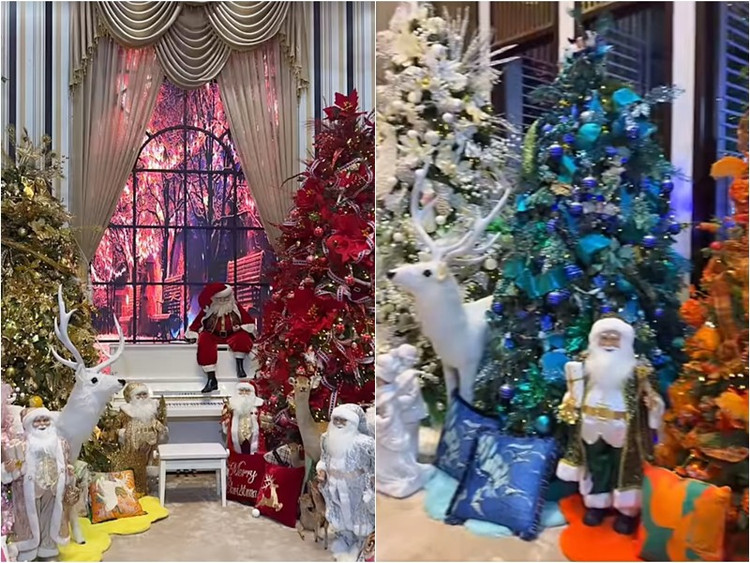 Biet thu 60 ty cua Dam Vinh Hung khien dan tinh do xo check-in-Hinh-7